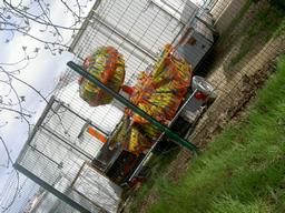 Foire-du-Trone-montage-2004-5