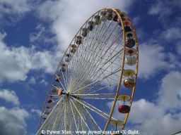 Bordeaux-automne-2005-200