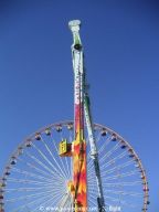 Bordeaux-printemps-2005-montage-2005-120
