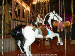 Fete-au-Grand-Palais-2005-103