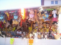 La-Roche-sur-Foron-2005-17