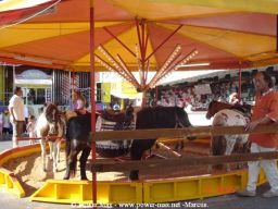 Mont-de-Marsan-2005-18