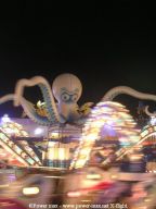 Bordeaux-automne-2006-66
