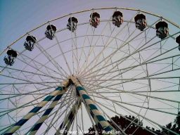 Bourge-2006-33
