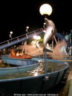 Cap-d-Agde-2006-23