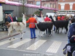Hazebrouck-2006-02