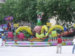 mini-DSC04999