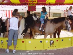 mini-IMG-2861