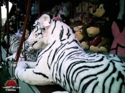 Cannes-hiver-2007-96