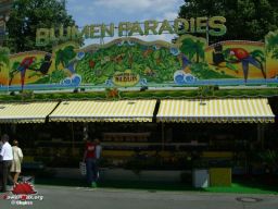 Duren-All-2007-45