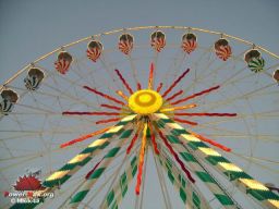 Orleans-2007-60