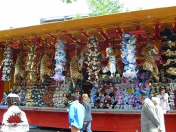 Tilburg-Pays-Bas-2007-141