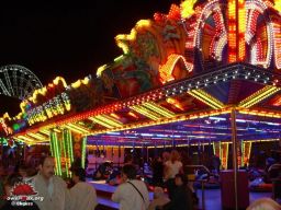 Tilburg-Pays-Bas-2007-16