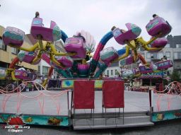 Waregem-Bel-2007-29