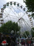 Agen-2008-56