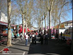 Auch-2008-29