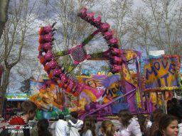 Auch-2008-84
