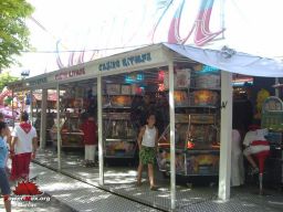 Bayonne-ete-2008-45