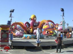 Bayonne-printemps-2008-21