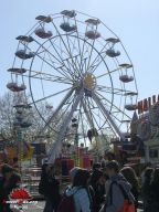 Bayonne-printemps-2008-37