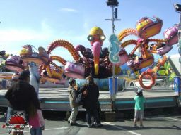 Bayonne-printemps-2008-46