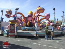 Bayonne-printemps-2008-54