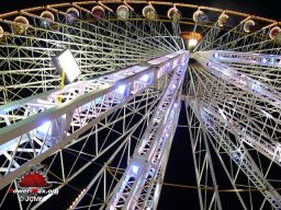 Bordeaux-octobre-2008-158