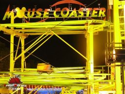 Bordeaux-octobre-2008-70