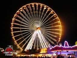 Bordeaux-octobre-2008