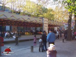 Conde-sur-Escaut-2008-02