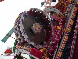 Douai-2008-137