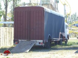 mini-PMmini-IMG-0138
