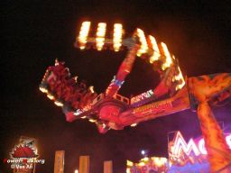 La-Palmyre-2008-131