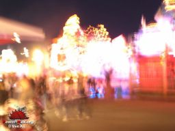 La-Palmyre-2008-23