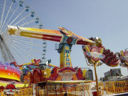 Lille-septembre-2008-33