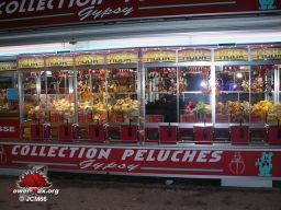 Lyon-hiver-2008-66
