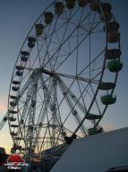 mini-PMmini-IMG-0205