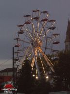 Nerac-2008-44