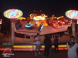 Nerac-2008-65