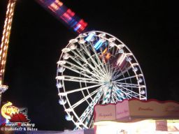 Orleans-2008-160