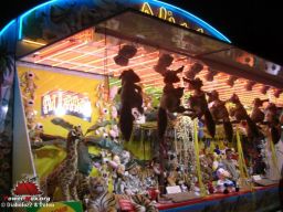 Orleans-2008-216