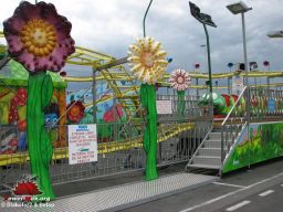 Orleans-2008-55