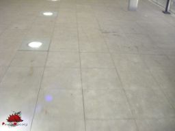 DSCF0786