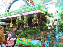Schueberfouer-Lux-2008-37