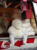 Tarbes-2008-49