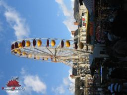 Tienen-Be-2008-66