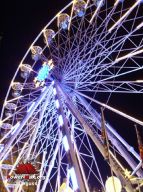 Tilburg-Pays-Bas-2008-08