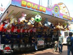 Tilburg-Pays-Bas-2008-168