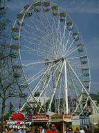 Tilburg-Pays-Bas-2008-169