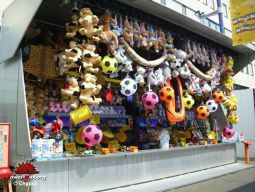 Tilburg-Pays-Bas-2008-76